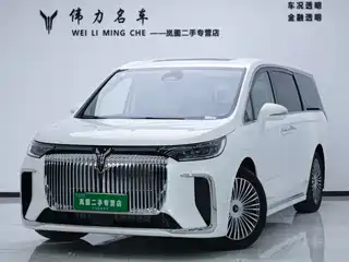 Voyah Auto Dreamer 2024