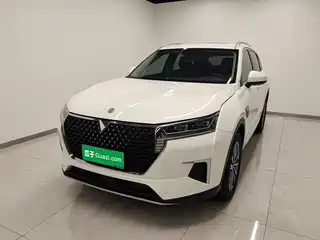 Venucia Star 2021