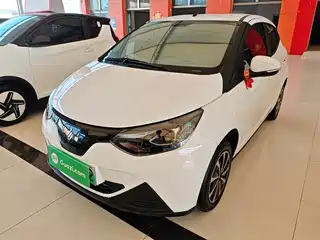 JMCG New Energy Little Kirin 2024