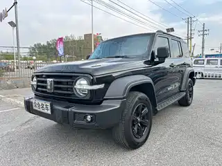 Tank 300 2024