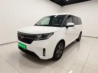 Wuling Motors Wuling Journey 2021