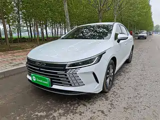 BYD Destroyer 05 2024