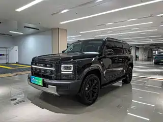 Haval Meng Long NEV 2025