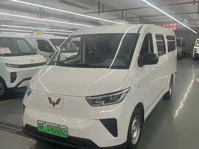 Wuling Motors Wuling Yangguang 2025