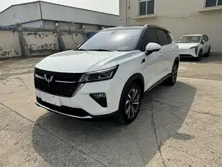 Wuling Motors Wuling Xingchen 2021