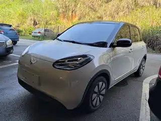 Wuling Motors Bingo 2024