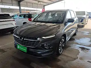 Wuling Motors Wuling Victory 2020