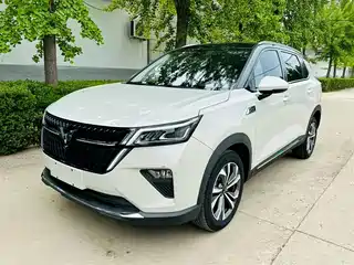 Wuling Motors Wuling Xingchen 2021