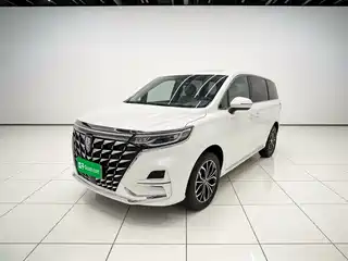 Roewe iMAX8 EV 2025