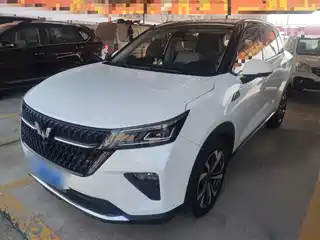 Wuling Motors Wuling Xingchen 2021