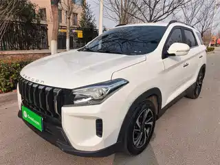 Dongfeng Fengguang Fengguang S560 2021