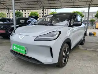 Wuling Motors Wuling Binguo PLUS 2024