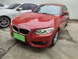 BMW 2 Series (Import) 2014
