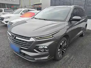 Wuling Motors Wuling Victory 2020