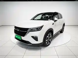 Wuling Motors Xingchen 2021