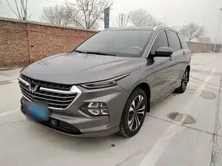 Wuling Motors Wuling Victory 2020