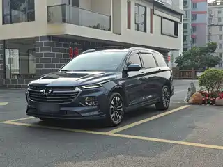 Wuling Motors Wuling Victory 2020