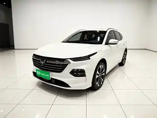 Wuling Motors Wuling Victory 2020