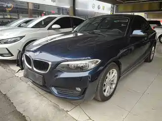 BMW 2 Series (Import) 2015