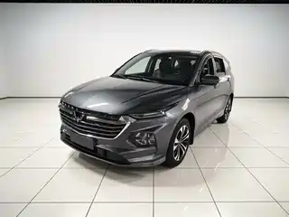 Wuling Motors Wuling Victory 2022