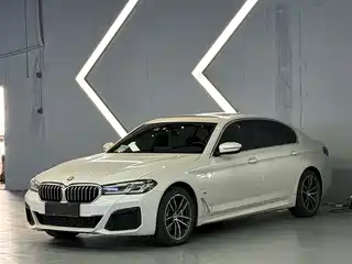BMW 5 Series New Energy 2020