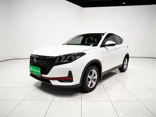 Dongfeng Fengguang Fengon 500 2021