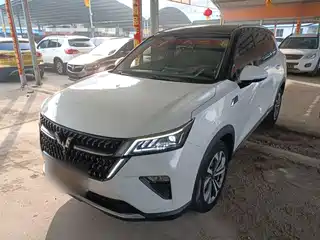 Wuling Motors Wuling Xingchen 2021