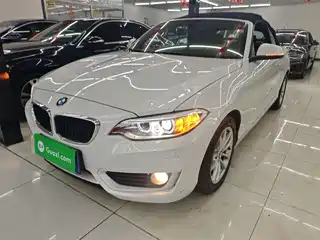 BMW 2 Series (Import) 2015