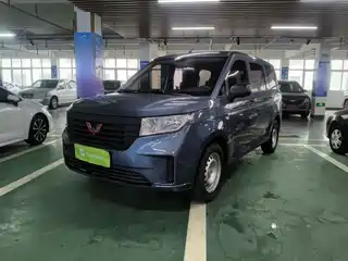 Wuling Motors Wuling Hongguang PLUS 2020