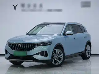 Voyah Auto FREE 2021