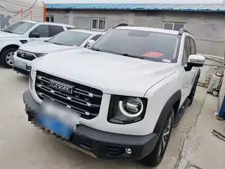 Haval Big Dog 2020