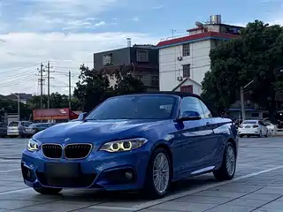 BMW 2 Series (Import) 2016