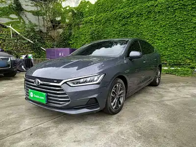 BYD Qin Pro 2021