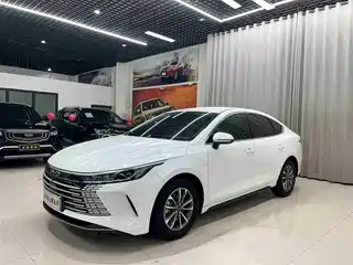 BYD Destroyer 05 2024