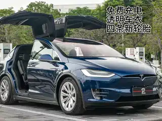 Tesla Model X 2019