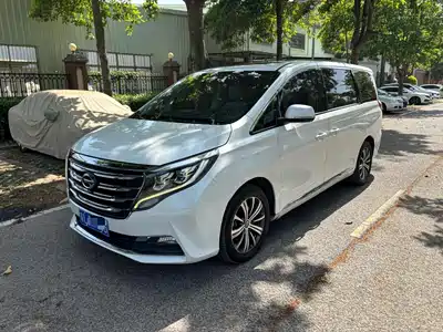 GAC Trumpchi M8 2019