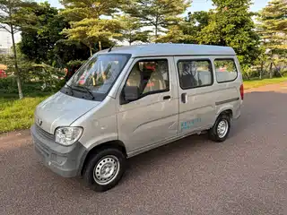 Wuling Motors Zhiguang 2020