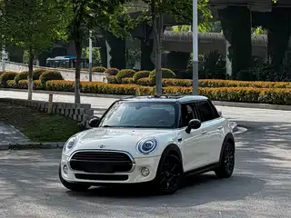 MINI MINI 2019