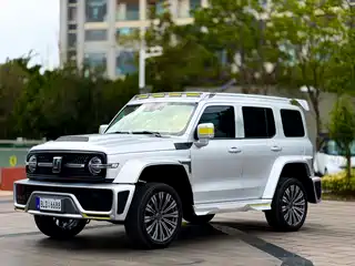 Crossboundary Auto Co-created Tank 300 2021