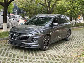 Wuling Motors Wuling Victory 2020