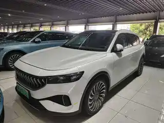 Voyah Auto FREE 2021