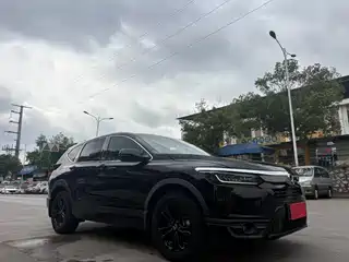 Honda Haoying 2019