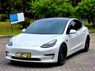 Tesla Model 3 (Import) 2019