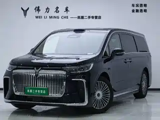 Voyah Auto Voyah Dreamer 2025