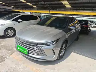 BYD Destroyer 05 2024