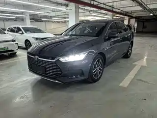 BYD Qin Pro New Energy 2020