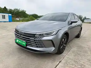 BYD Destroyer 05 2024