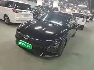 Wuling Motors Xingguang 2023
