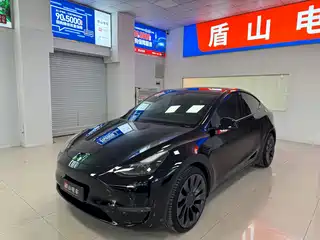Tesla Model Y 2021
