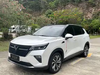 Wuling Motors Wuling Xingchen 2021